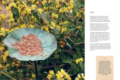 Australian Geographic A Conscious Garden