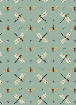 Australian Geographic All Wrapped Up: