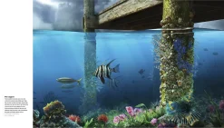 Australian Geographic Art of Illustration