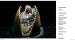 Australian Geographic Australasian Nature Photographer of the Year Book 2021 (18th edition)