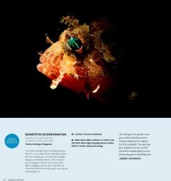 Australian Geographic Australasian Nature Photographer of the Year Book 2017 (14th edition)