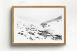 Australian Geographic Australian Blizzard' by Charles Davis