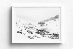 Australian Geographic Australian Blizzard' by Charles Davis