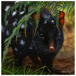 Australian Geographic 1000 Piece Jigsaw: Cautious Encounter