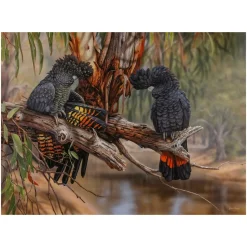 Australian Geographic 1000 Piece Jigsaw: Miss Murrumbidgee