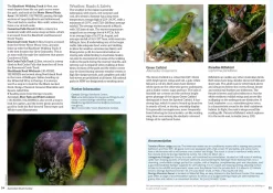 Australian Geographic : Australia's Birdwatching Megaspots