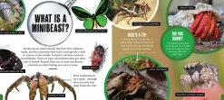 Kids Australian Geographic Discover: Minibeasts