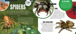 Kids Australian Geographic Discover: Minibeasts