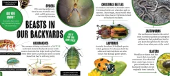 Kids Australian Geographic Discover: Minibeasts