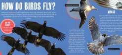 Kids Australian Geographic Discover: Aussie Birds
