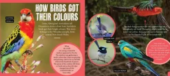 Kids Australian Geographic Discover: Aussie Birds