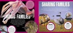 Kids Australian Geographic Discover: Animal Families