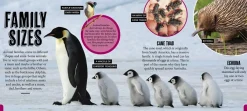 Kids Australian Geographic Discover: Animal Families