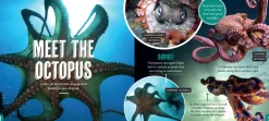 Kids Australian Geographic Discover: Sea Life