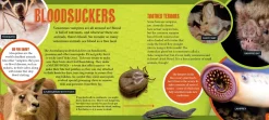 Kids Australian Geographic Discover: Venomous Animals