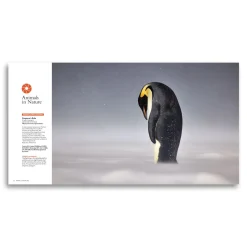 Australian Geographic Nature Photographer of the Year Book 2024