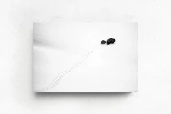 Australian Geographic Big Step, Little Step' by Charles Davis