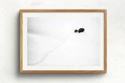 Australian Geographic Big Step, Little Step' by Charles Davis