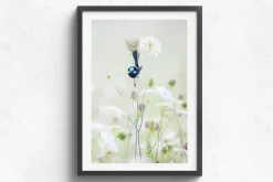 Australian Geographic Blue Flower' by Charles Davis