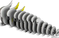 Australian Geographic Cockatoo 3D Puzzle - by EUGY