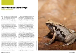 Australian Geographic Complete Guide To Australian Frogs