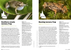 Australian Geographic Complete Guide To Australian Frogs