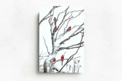 Australian Geographic Embers' by Charles Davis