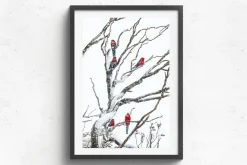 Australian Geographic Embers' by Charles Davis