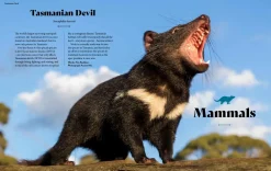 Australian Geographic Extraordinary & Endangered