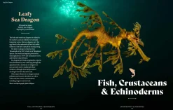 Australian Geographic Extraordinary & Endangered