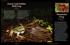 Australian Geographic Extraordinary & Endangered