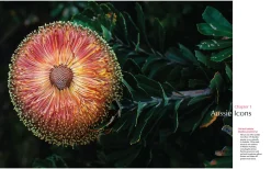 Australian Geographic For the Love of Flora