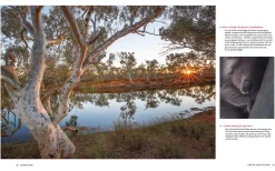 Australian Geographic For the Love of Flora
