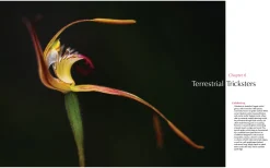 Australian Geographic For the Love of Flora