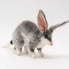 Australian Geographic Hansa Bilby