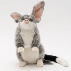 Australian Geographic Hansa Bilby