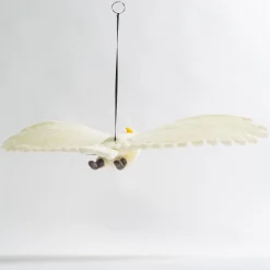 Australian Geographic Hansa Cockatoo Flying