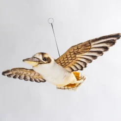 Australian Geographic Hansa Kookaburra Flying