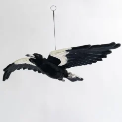 Australian Geographic Hansa Magpie Flying
