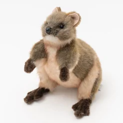 Australian Geographic Hansa Quokka