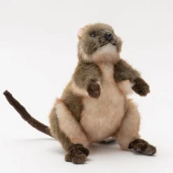 Australian Geographic Hansa Quokka