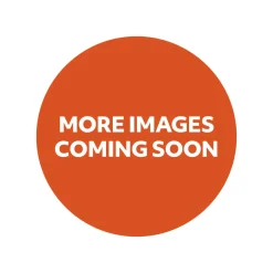 Australian Geographic Hansa Rainbow Lorikeet Flying