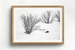 Australian Geographic Journey to Phil's' by Charles Davis