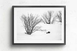 Australian Geographic Journey to Phil's' by Charles Davis