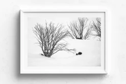 Australian Geographic Journey to Phil's' by Charles Davis