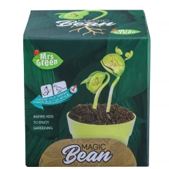 Australian Geographic Mrs Greens Magic Beans