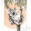Australian Geographic Naptime - Koala Greeting Card by Shannon Dwyer