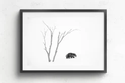 Australian Geographic Phil's World' by Charles Davis