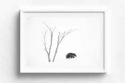 Australian Geographic Phil's World' by Charles Davis