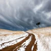 Australian Geographic Snow Road' by Charles Davis